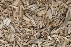 biomass boilers Eshiels